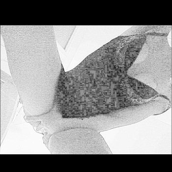 Profil de Darlène, 42 ans, Plan Cul à ‘Ayn Tumayrah