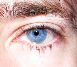 Profil de Cornelis, 55 ans, Plan Cul à Shalash