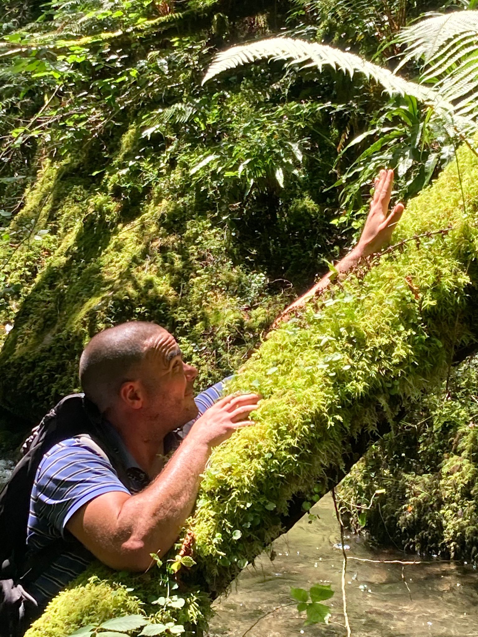 Profil de Stelian, 39 ans, Plan Cul à Al Ma‘allah