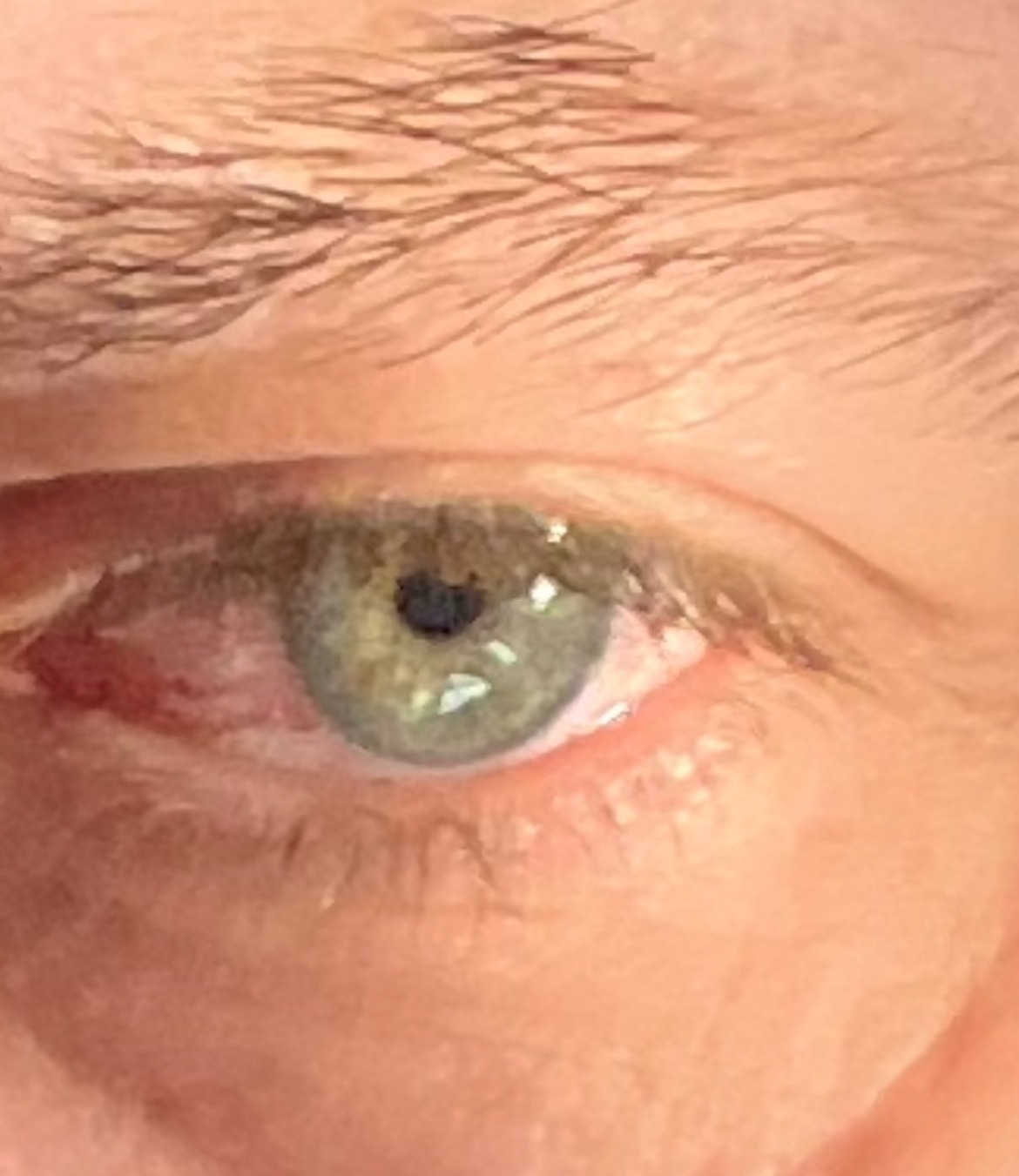 Profil de Divin, 48 ans, Plan Cul à Aşlān