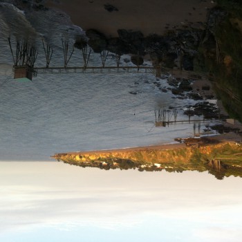 Profil de Mona, 37 ans, Plan Cul à ‘Izbat Bishārah