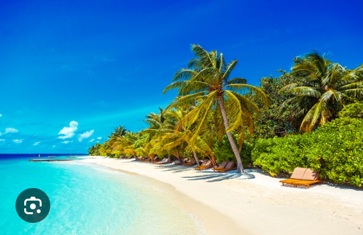 Profil de Noahm, 42 ans, Plan Cul à An Nihīyah